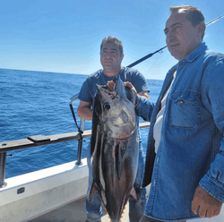 Deep Sea Fishing in California 